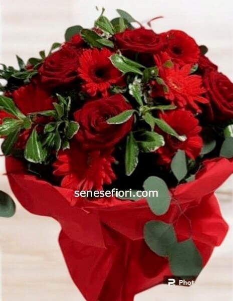 Rose Rosse dell'Ecuador (Qualità Top)