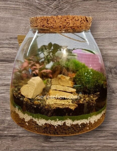 Terrarium "Parigi": L´Eleganza dei Giardini Francesi in Vetro