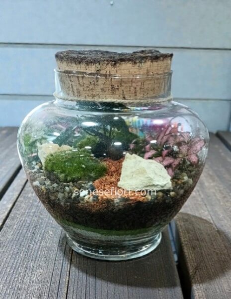 Terrarium "Kyoto": L&acute;Eleganza del Giappone nel Tuo Salotto