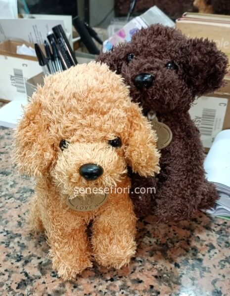Graziosi Barboncini di Peluche
